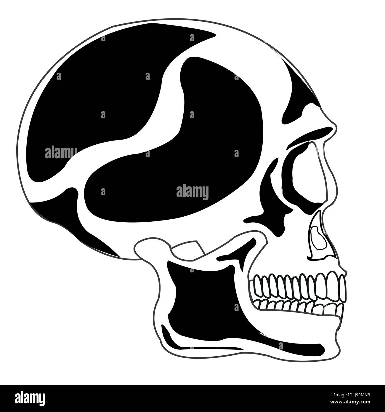 Skull of the person on white background is insulated Stock Vector Image ...