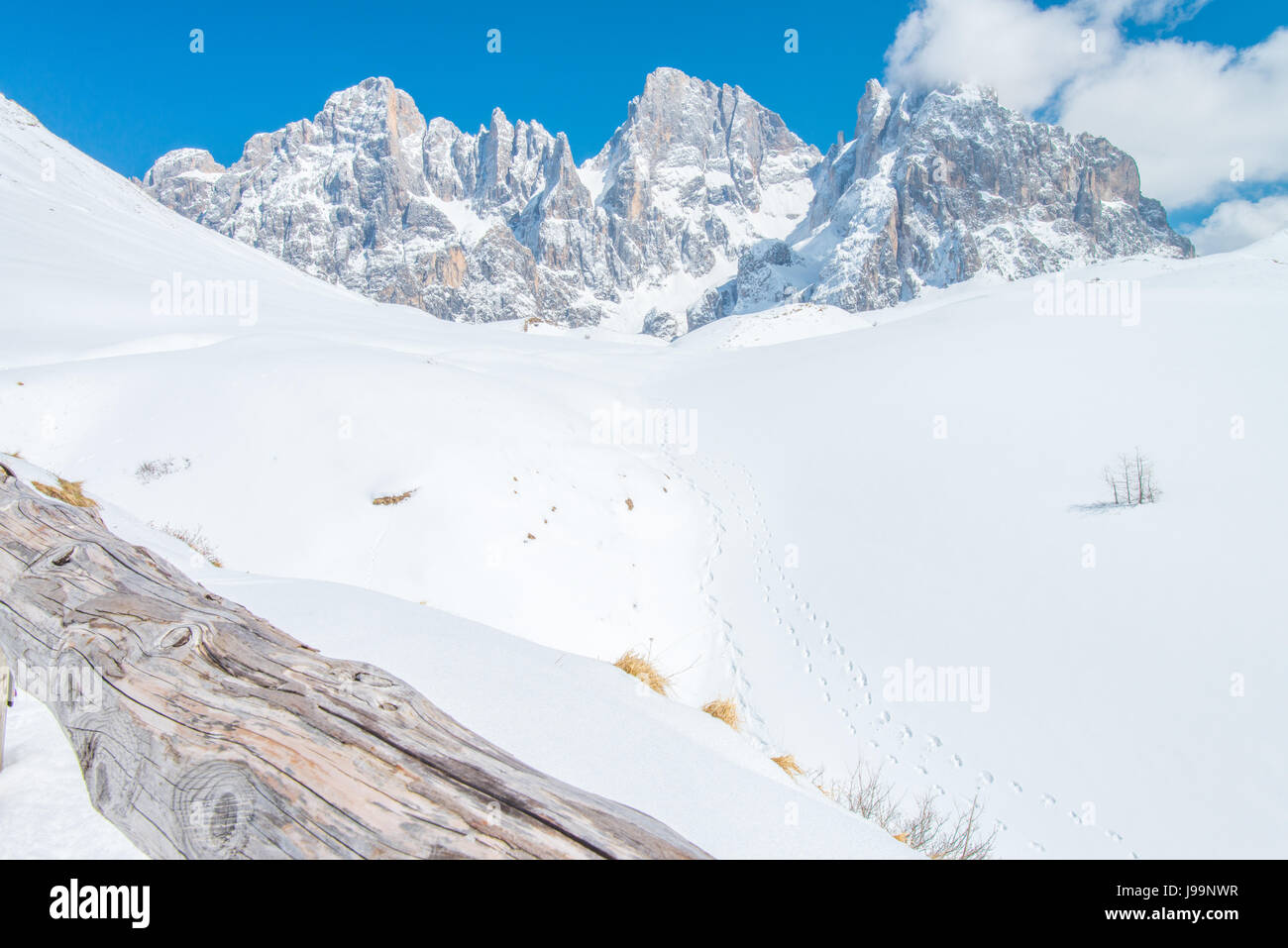 An old wooden log, fence stays in the foreground to some amazing, rugged mountains in the Italian Dolomites - Fresh powder on the trail Stock Photo