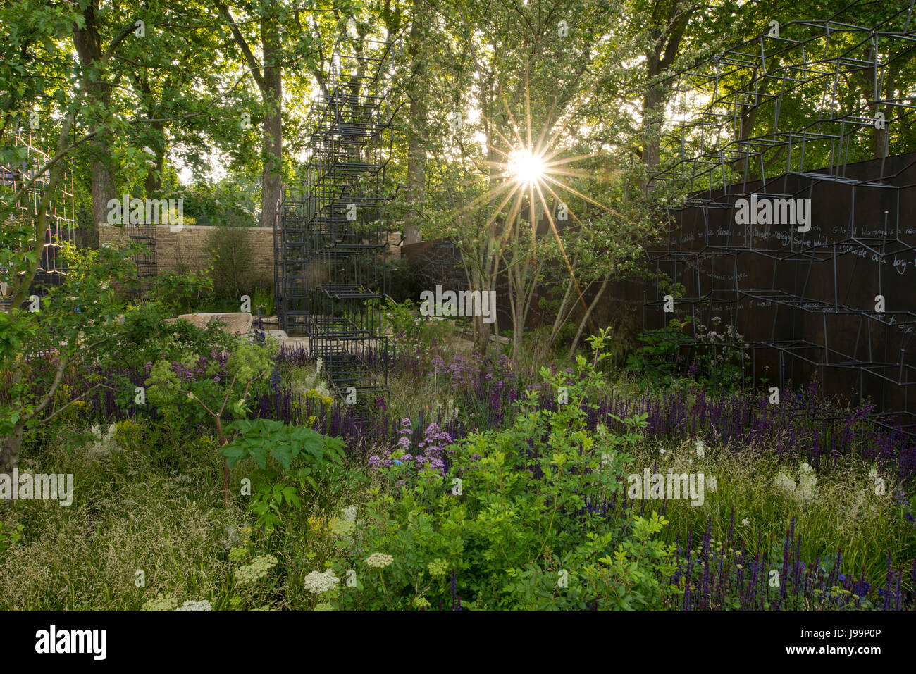 The Breaking Ground Garden designed by A. Wilson and G. McWilliam