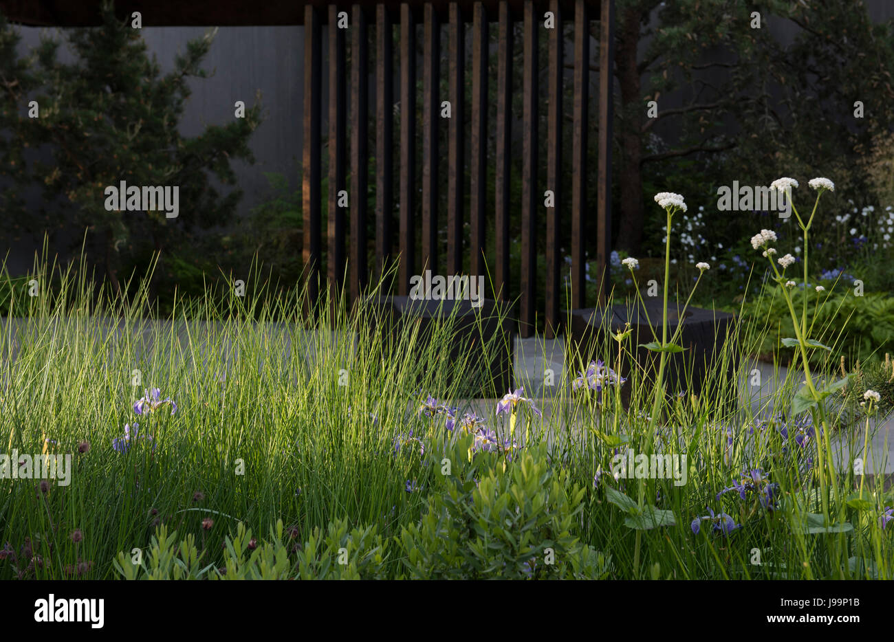 The Royal Bank of Canada Garden designed by Charlotte Harris. The ...