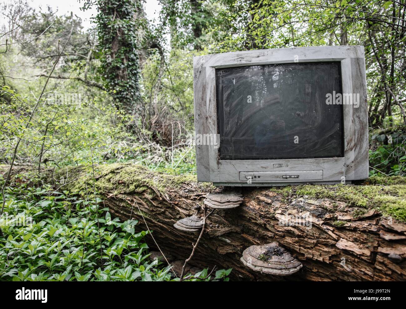 TV dumped in a forest Stock Photo