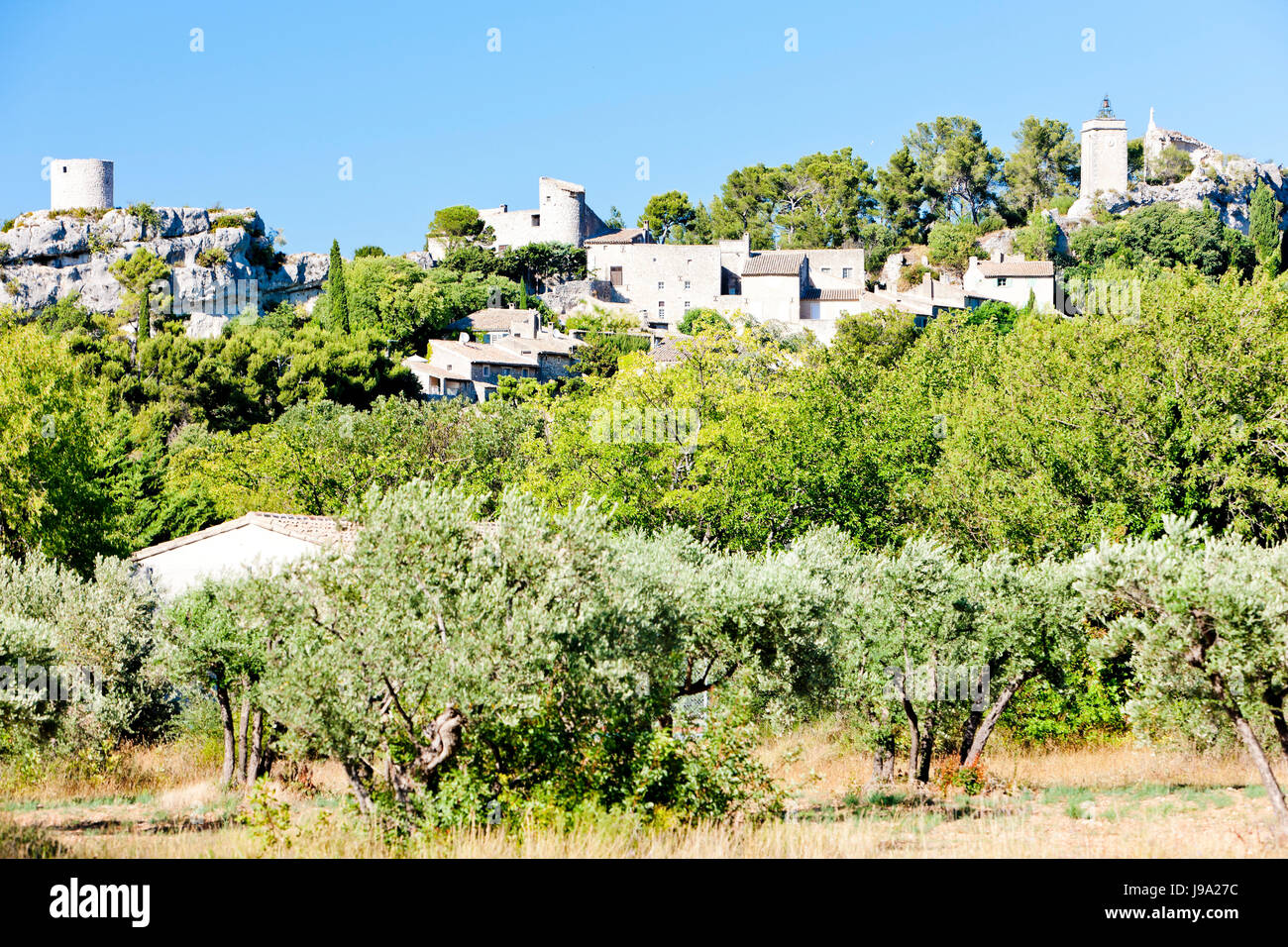 france, Provence, travel, tree, europe, france, outside, style of