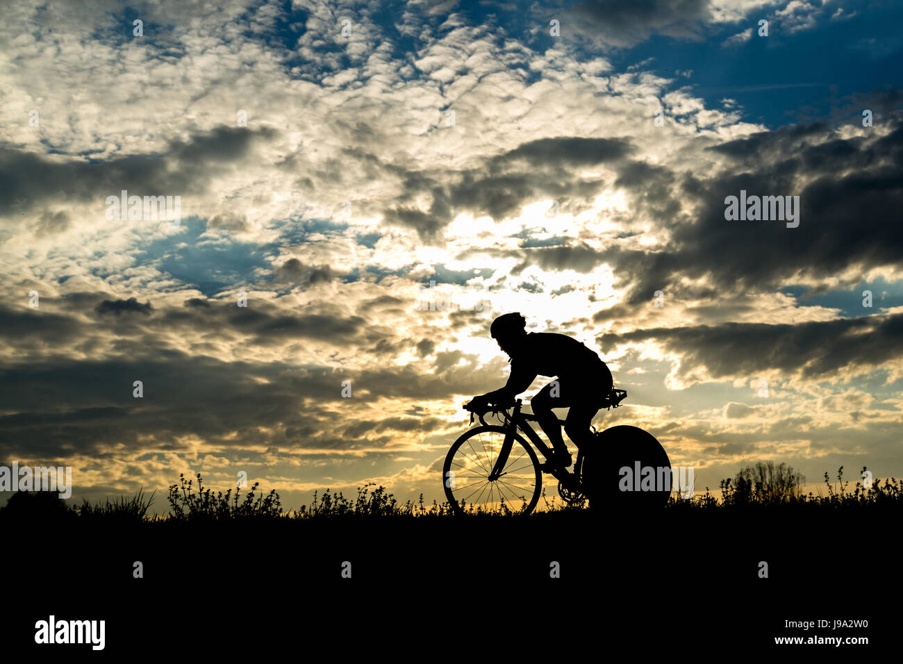 silhouette of a cyclist Stock Photo