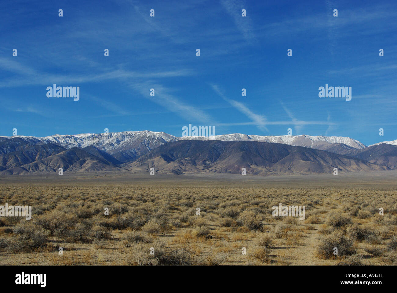 high desert and mountain chains,nevada Stock Photo Alamy