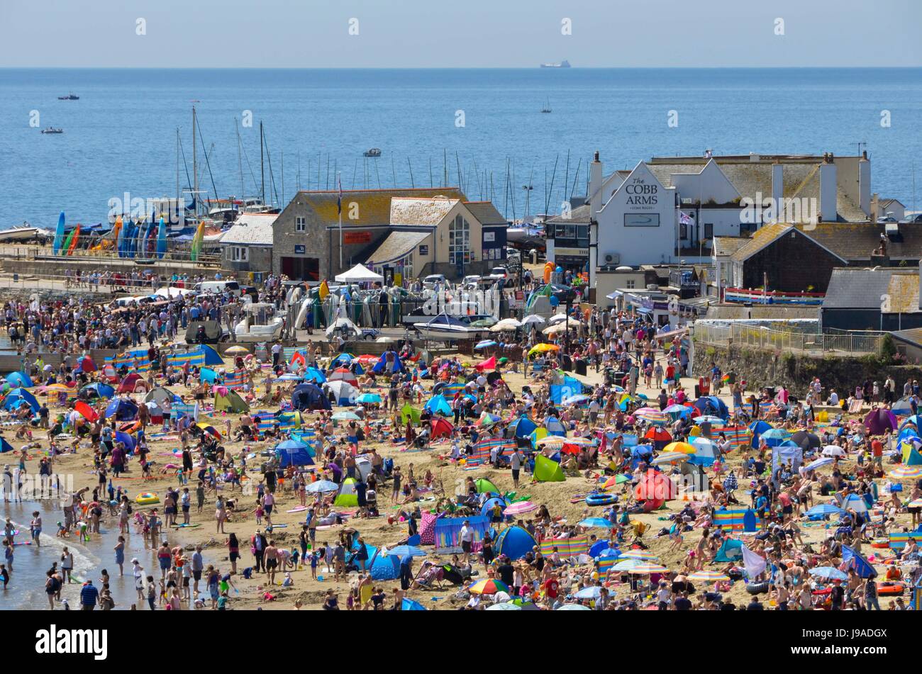 Lyme Regis, Dorset, UK. 1st June 2017. UK Weather. A packed beach full