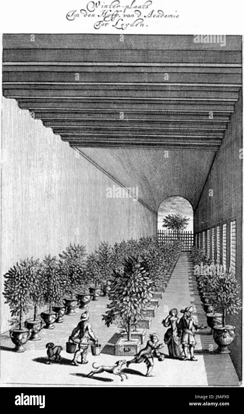 Oud Orangerie Hortus Leiden Stock Photo Alamy