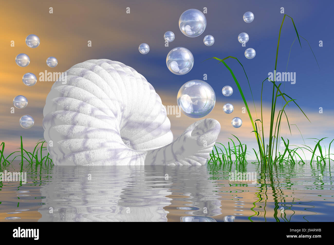 Blake Snail Bubble