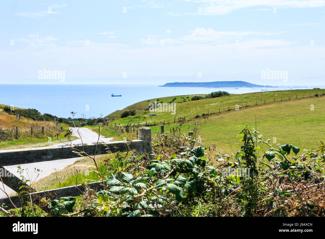 View over a five bar gate and fields, a winding road leading to the sea and Ringstead Bay, Dorset, England, UK, Portland Bill in the distance Stock Photo