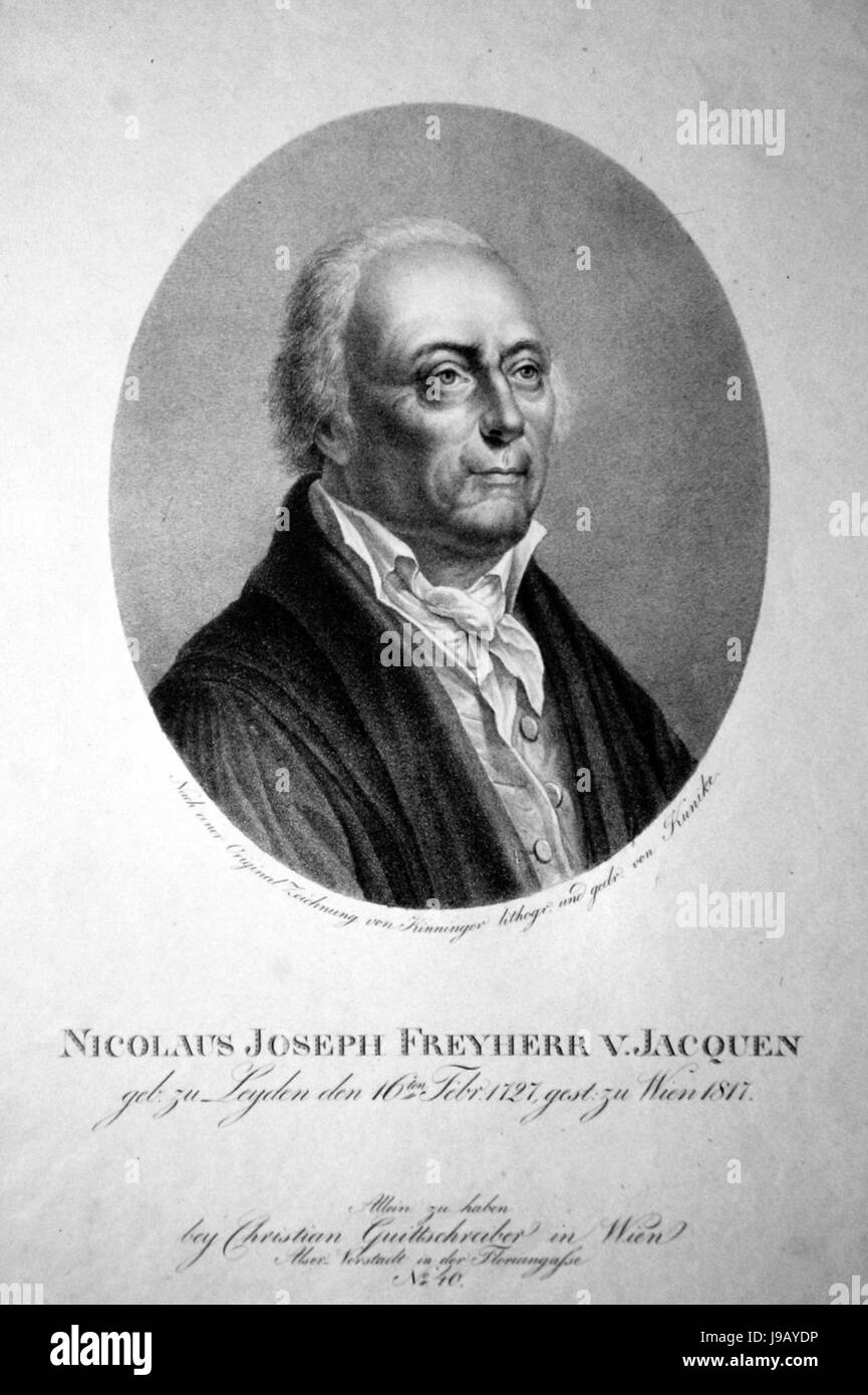 Nikolaus Joseph Jacquin Litho Stock Photo