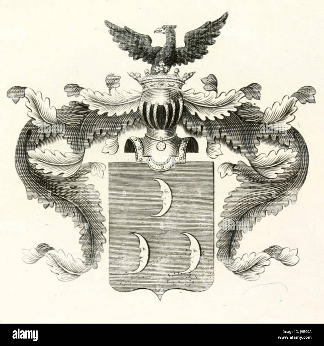 RU COA Strujskii III, 51 Stock Photo - Alamy