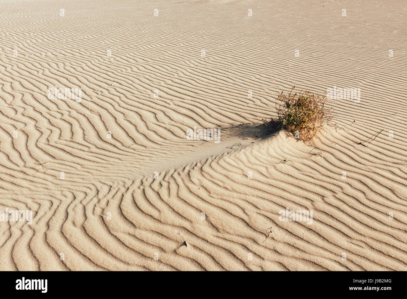 Lines in the sand of a beach, close up Stock Photo - Alamy