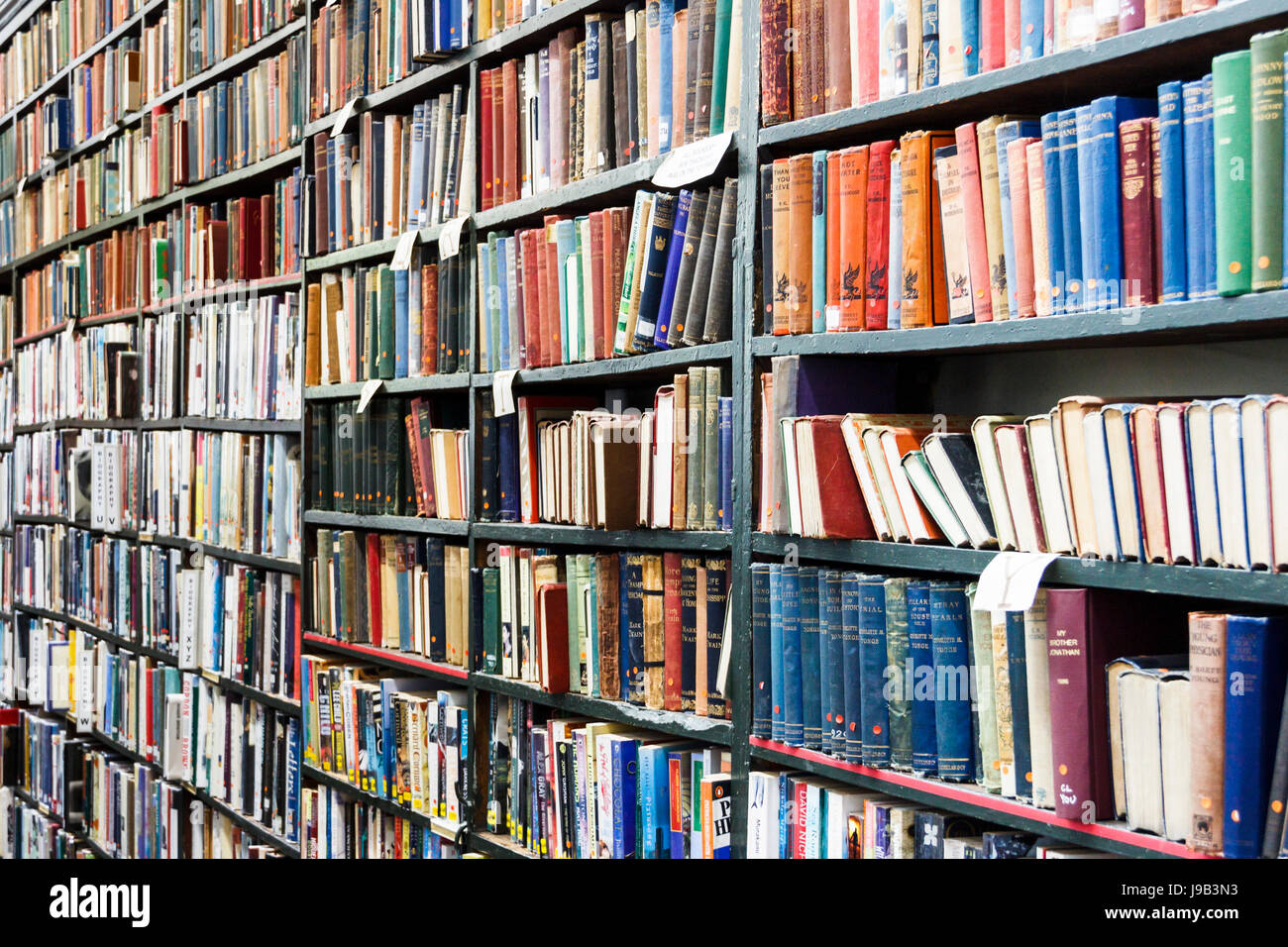 Bookshelves in the library of Highgate Literary and Scientific