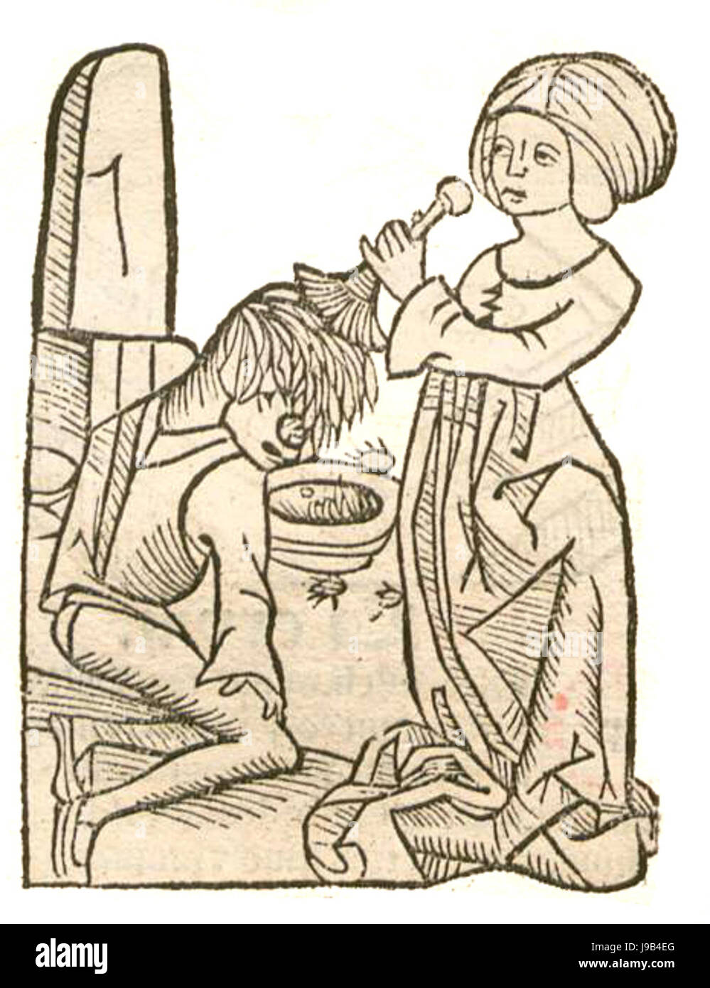 Pediculus Laus Stock Photo