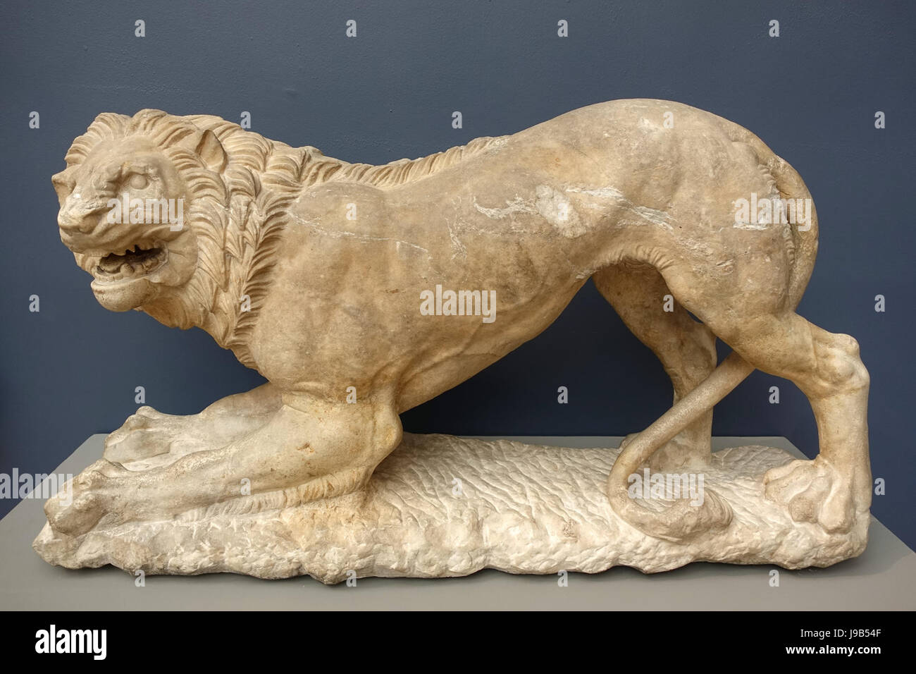 Two Lions, 2 of 2, Greek, c. 300 BC, marble   Wadsworth Atheneum   Hartford, CT   DSC05062 Stock Photo