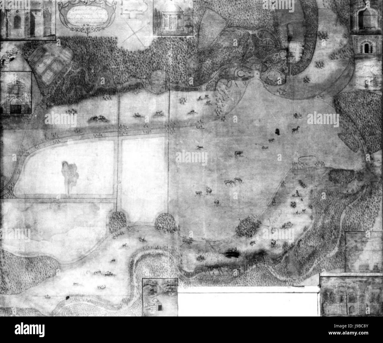 Wormsley Park Woods' Plan Stock Photo Alamy