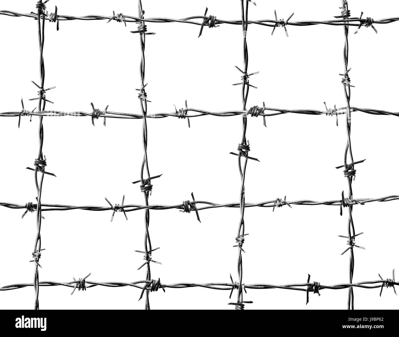 4 horizontal lines and 4 vertical of new and clean barbed wire isolated against the white background Stock Photo