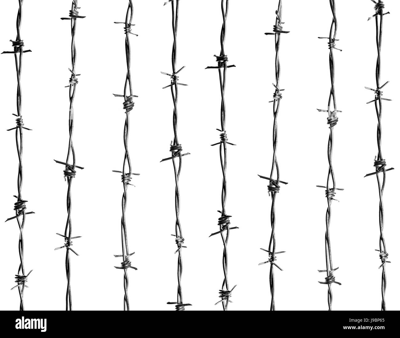 8 vertical lines of new and clean barbed wire isolated against the white background Stock Photo