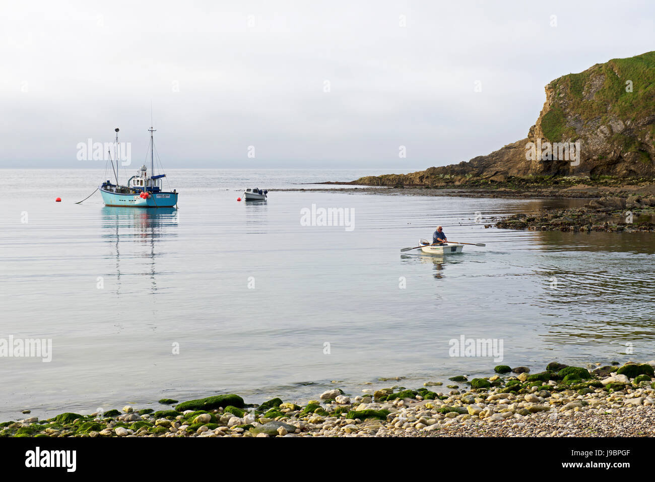 Man rowing dinghy out to his boat, moored in Lulworth Cove, Dorset, England UK Stock Photo