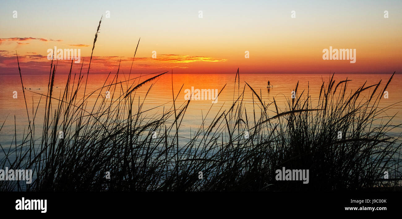 A silhouette of a small paddle boarder in the distance at sunset through the beach grasses on Empire Beach, Lake Michigan, USA Stock Photo