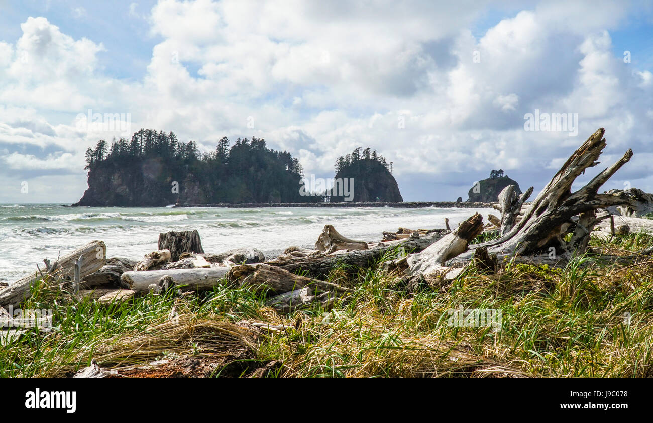 Amazing La Push Beach in the Quileute Indian reservation FORKS