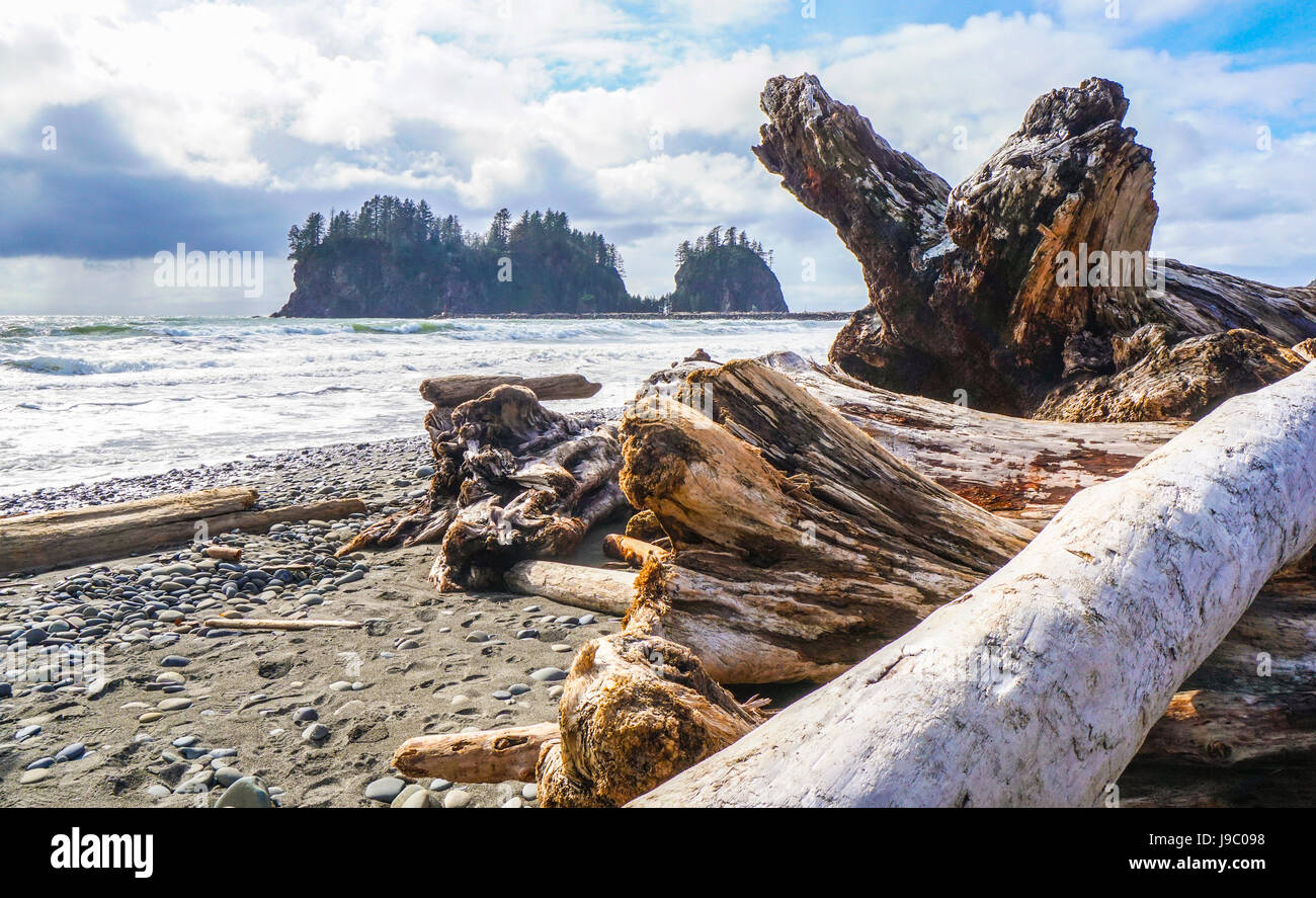Amazing La Push Beach in the Quileute Indian reservation FORKS