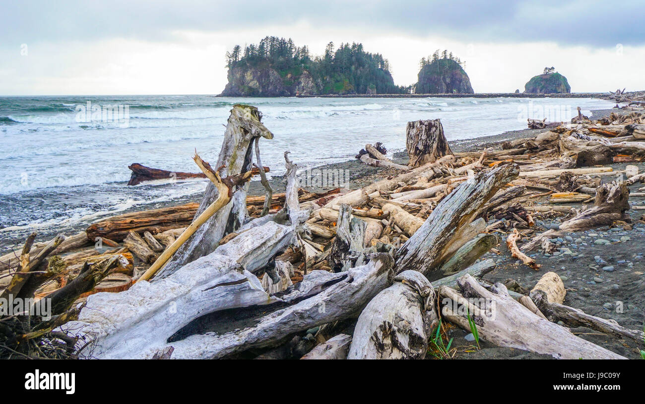 Amazing La Push Beach in the Quileute Indian reservation FORKS