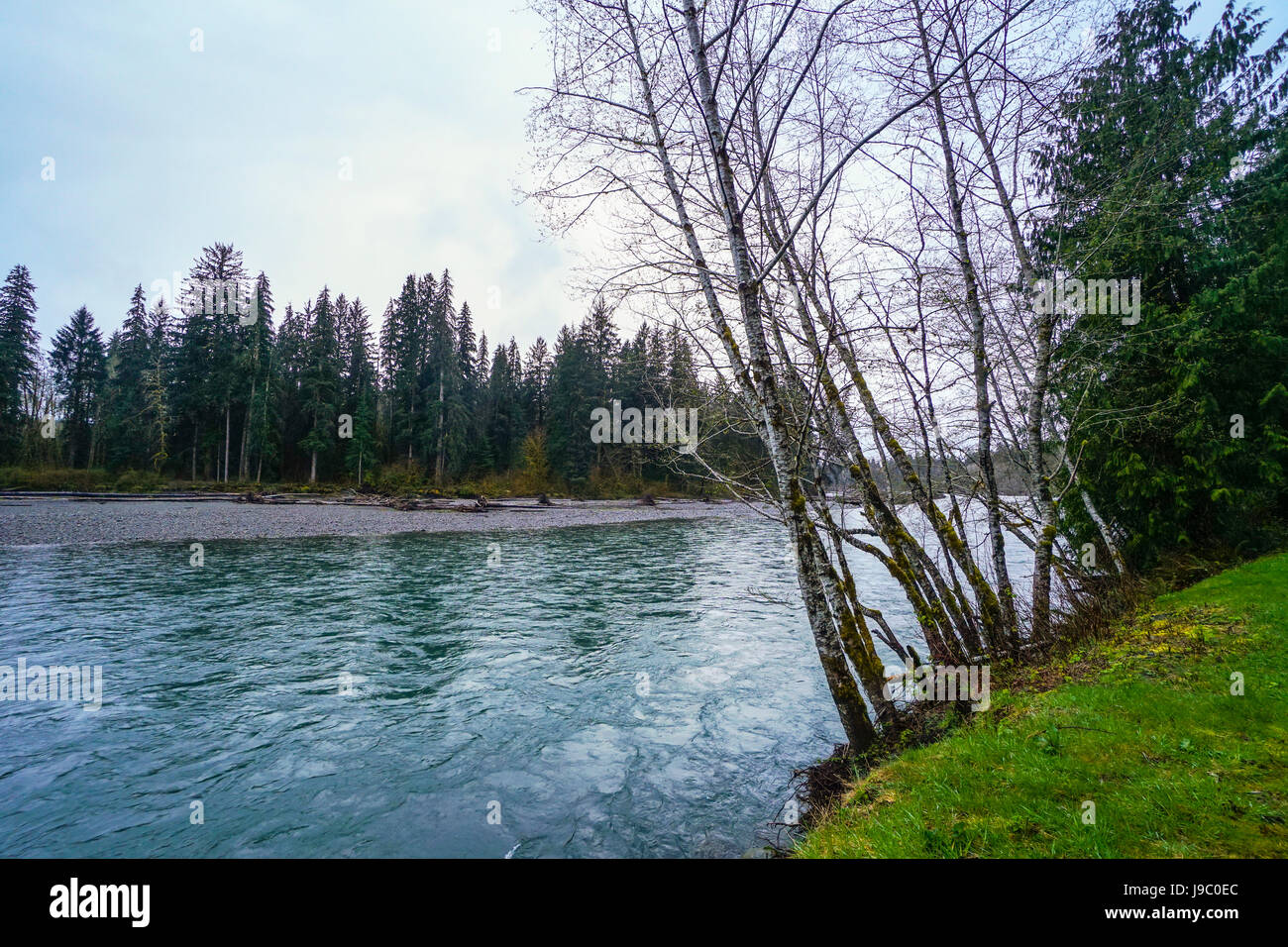 Hoh River At Hoh Rain Forest In Washington High Resolution Stock ...