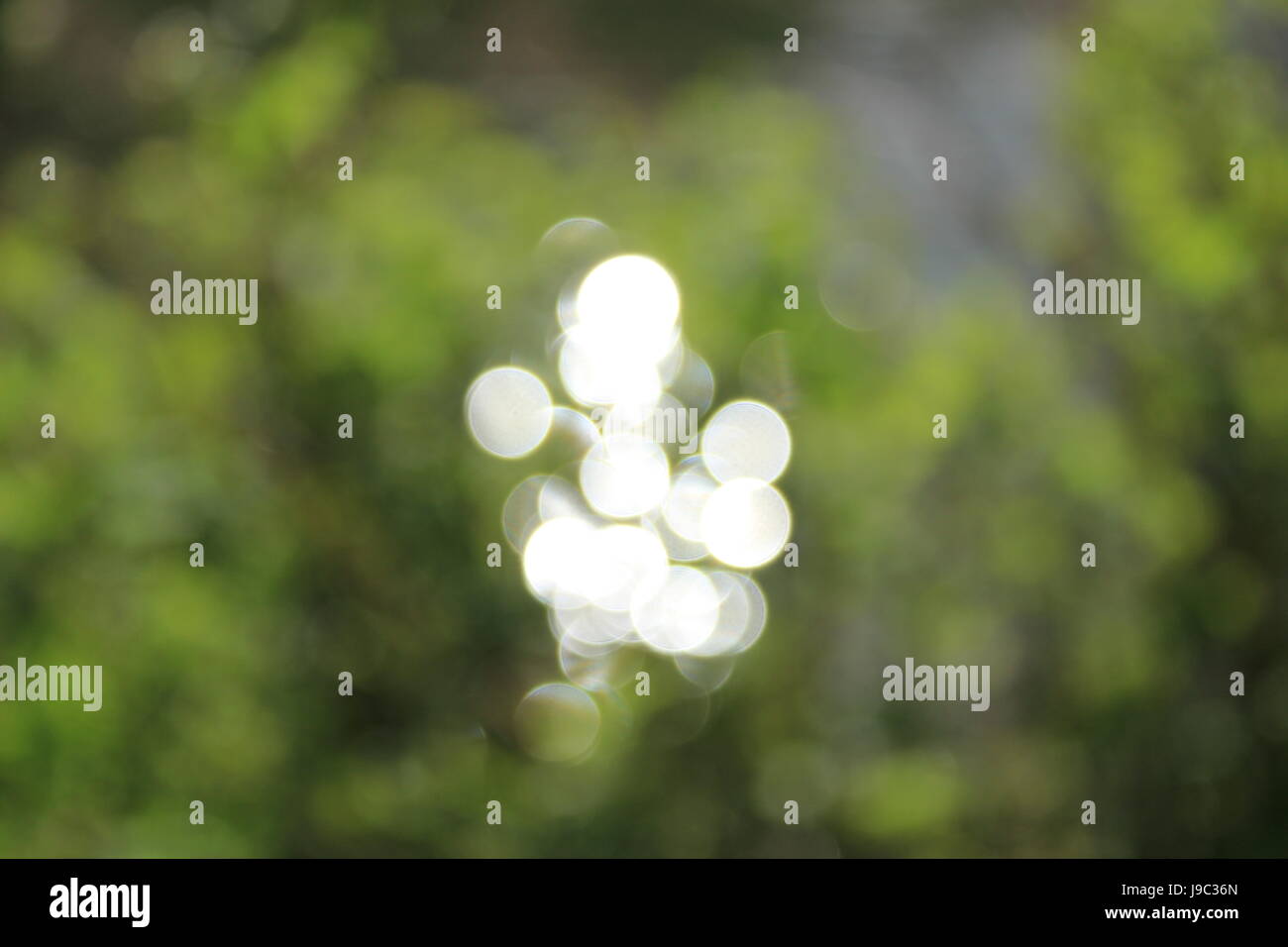 shine, shines, bright, lucent, light, serene, luminous, lights, dreamy, Stock Photo