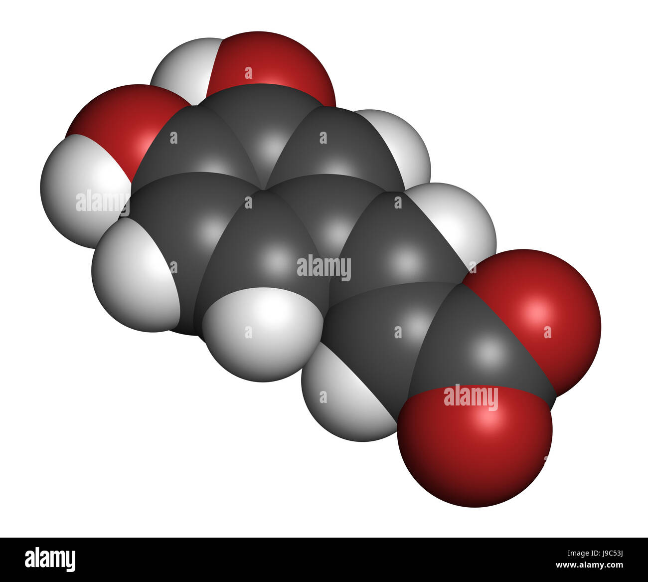 Caffeic acid molecule. Intermediate in the biosynthesis of lignin. 3D rendering. Atoms are represented as spheres with conventional color coding: hydr Stock Photo