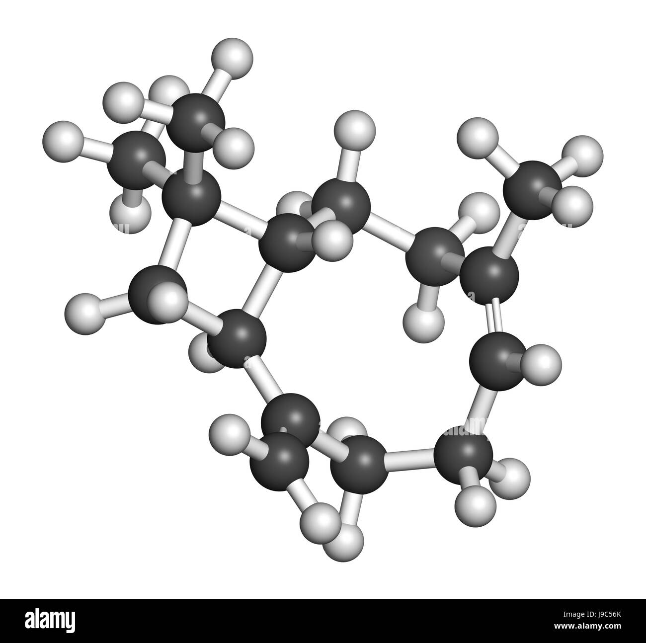 Caryophyllene molecule. Constituent of multiple herbal essential oils,  including clove oil. 3D rendering. Atoms are represented as spheres with  conven Stock Photo - Alamy