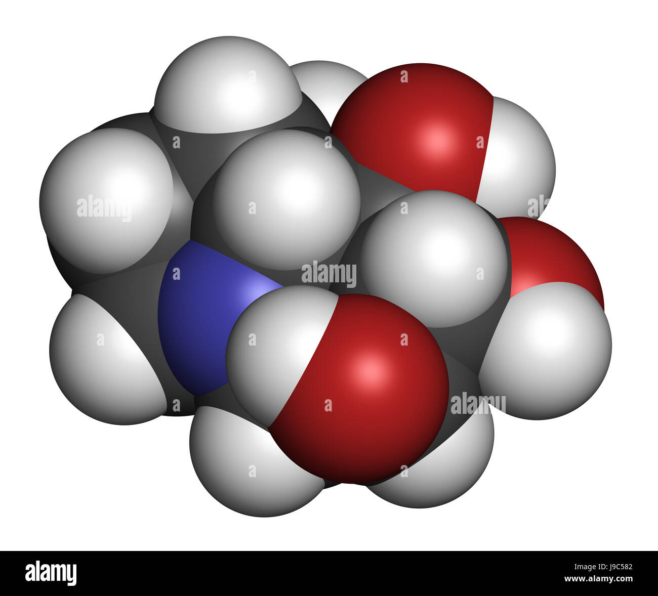 Castanospermine alkaloid molecule. Isolated from Castanospermum australe. 3D rendering. Atoms are represented as spheres with conventional color codin Stock Photo