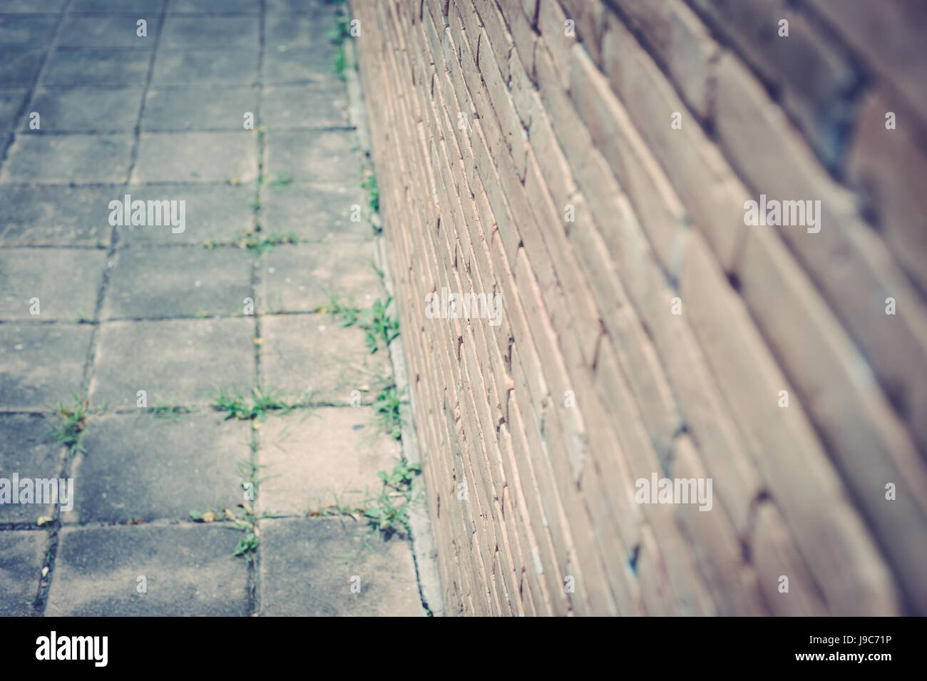 Old brick wall texture in a vintage, retro background Stock Photo - Alamy