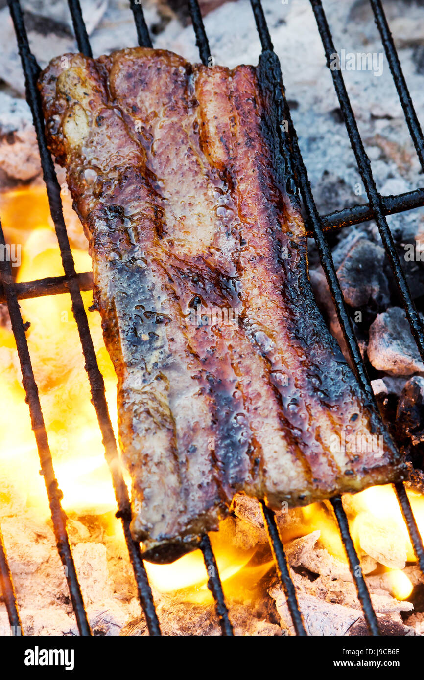 disc, fire, conflagration, rust, bone, grill, barbecue, barbeque, meat