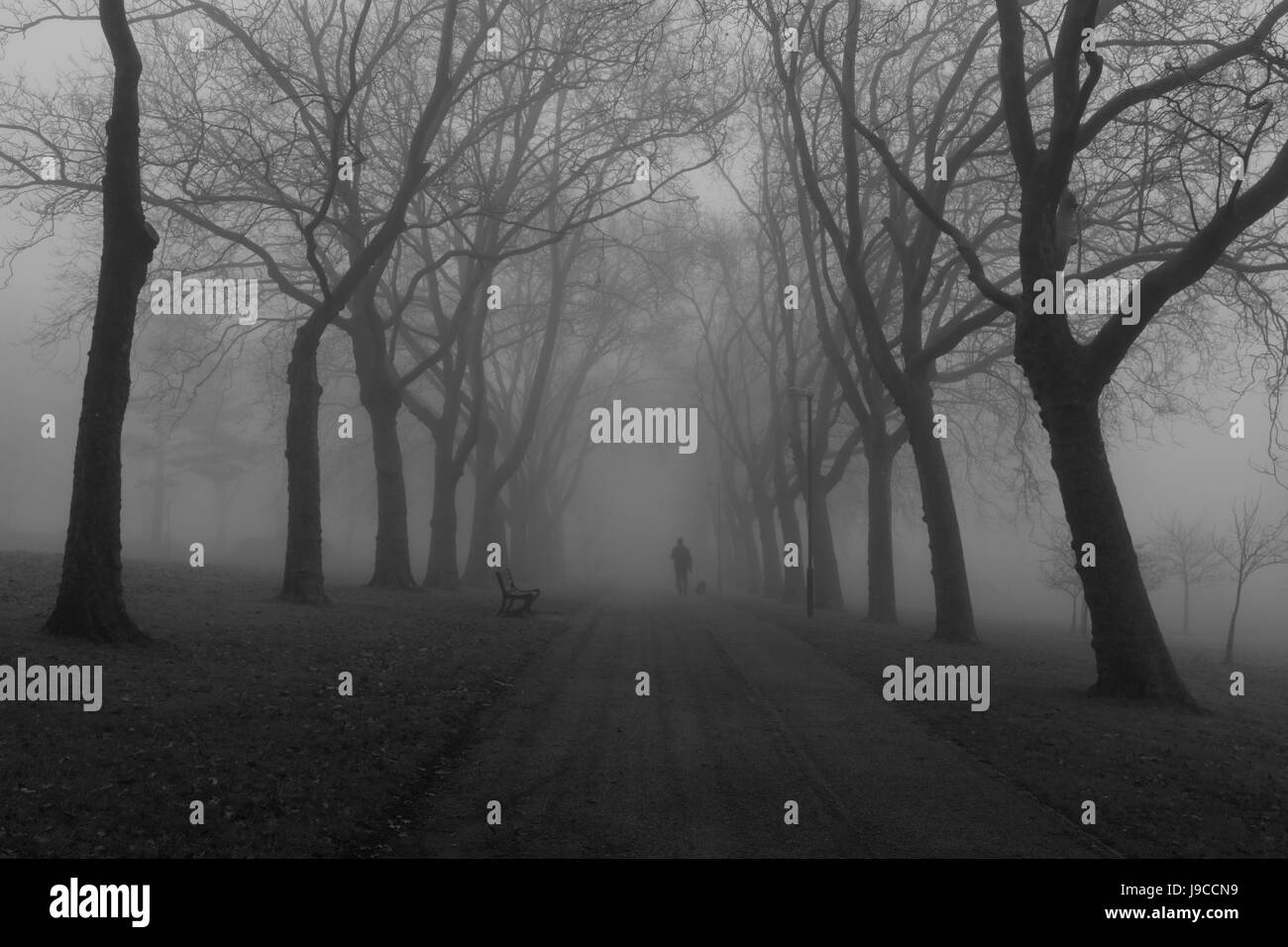 Foggy Gladstone Park, Dollis Hill, London, England, UK Stock Photo