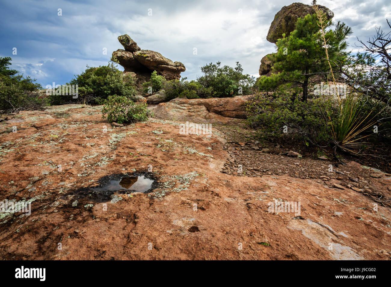 Reflecting pools are scarce in this rugged terrain in Chiricahua National Monument of southeastern Arizona. Stock Photo