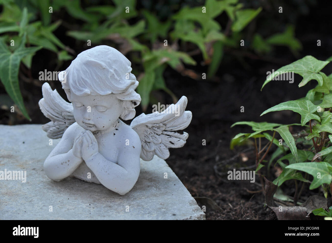angel Stock Photo