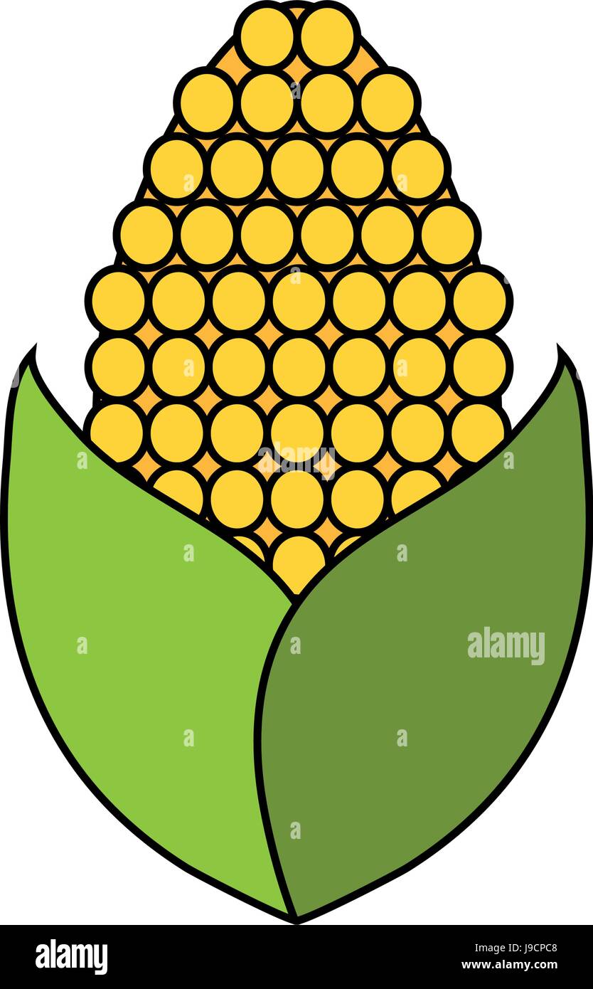 vegetables flat illustration Stock Vector Image & Art - Alamy