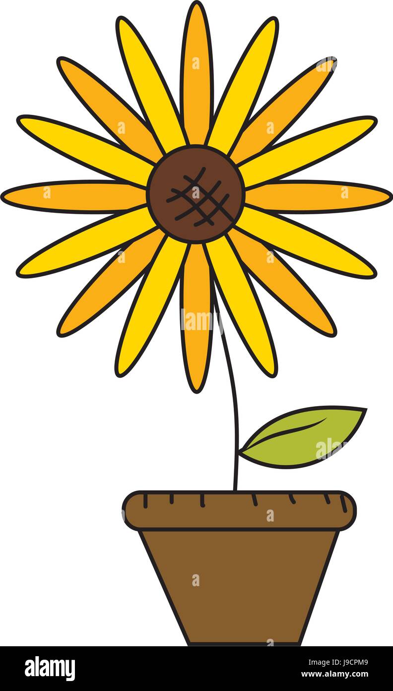 beautiful sunflower in the flowerpot Stock Vector Image & Art Alamy
