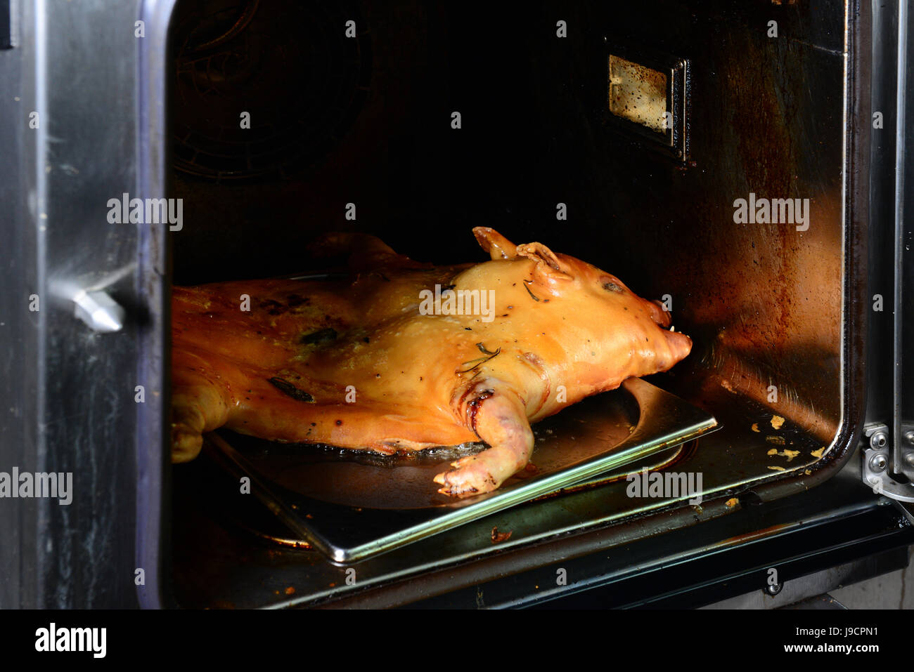 roast pig in oven Stock Photo Alamy