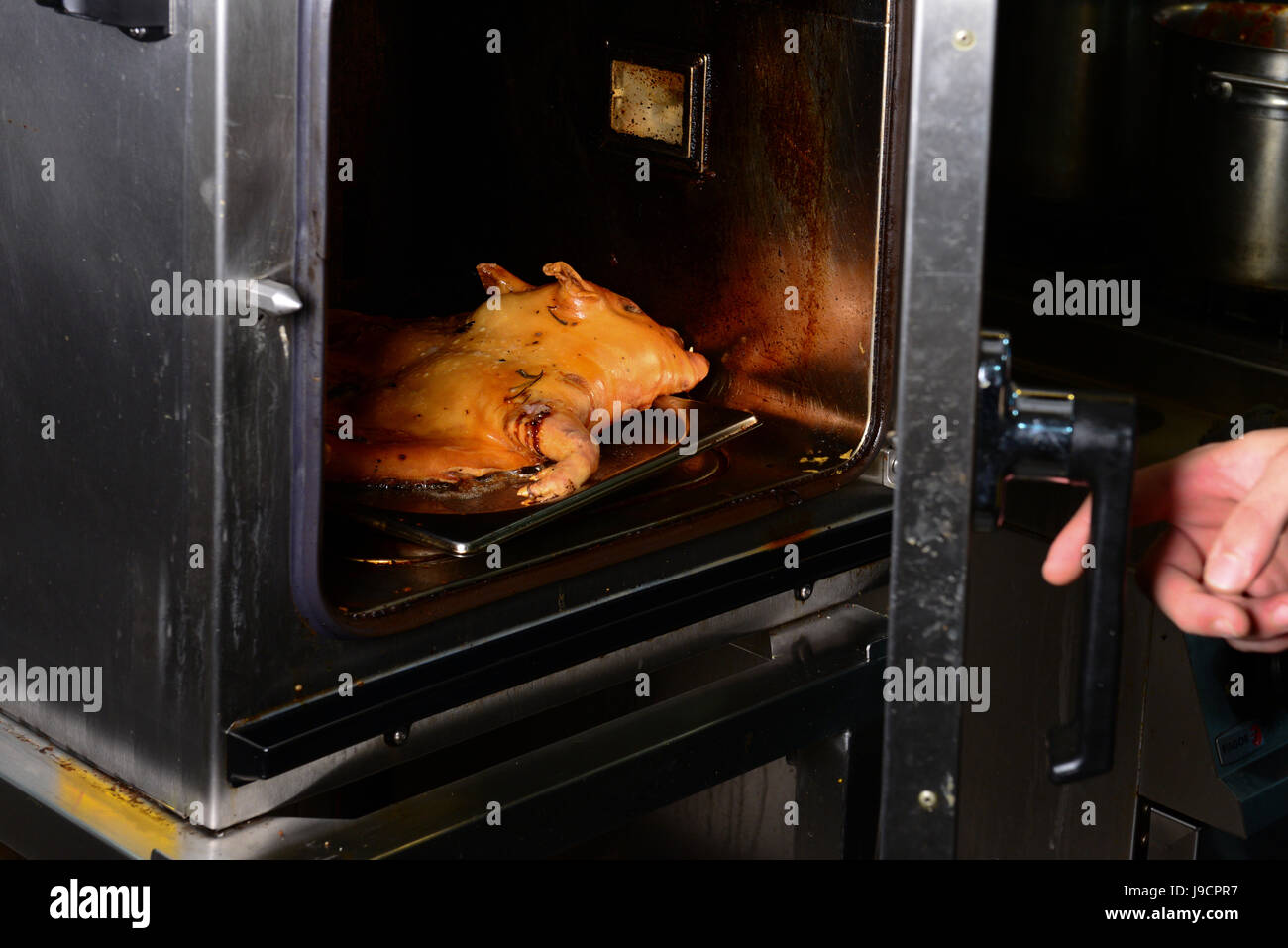 roast pig in oven Stock Photo Alamy