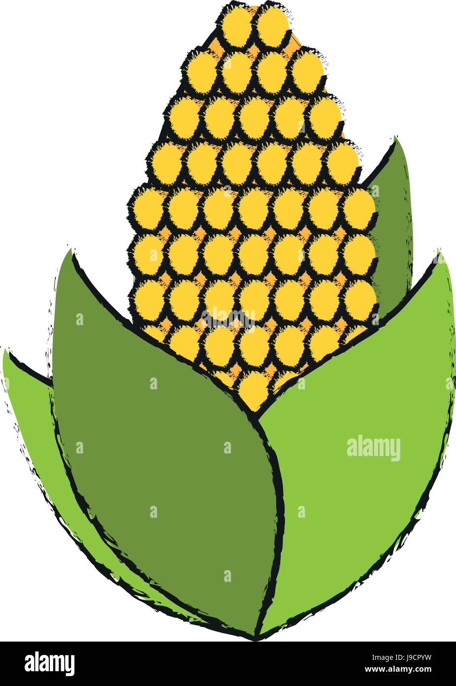 vegetables flat illustration draw Stock Vector Image & Art - Alamy