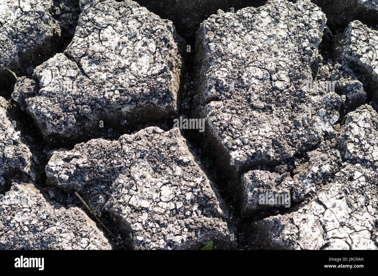 Textured background of dry cracked earth surface Stock Photo