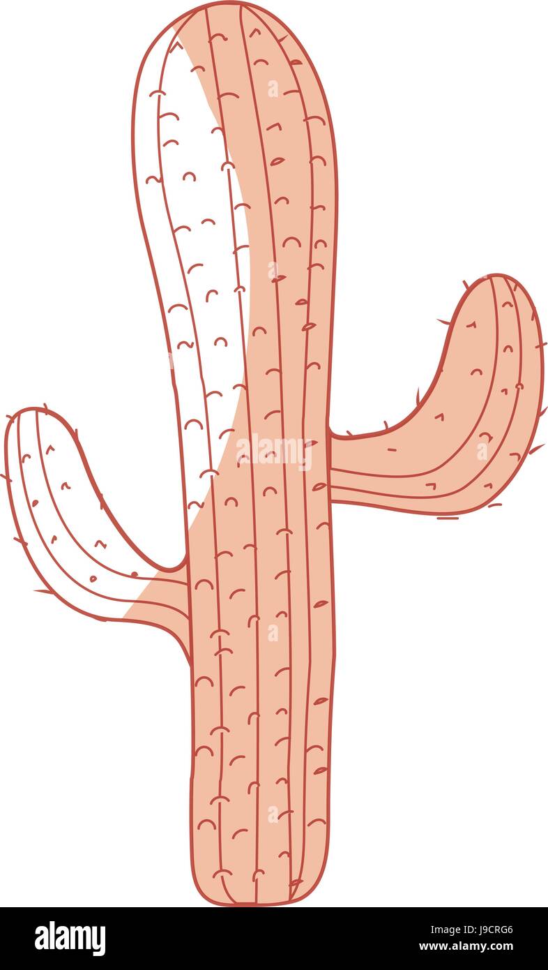 silhouette beautiful cactus plant of desert Stock Vector Image & Art ...
