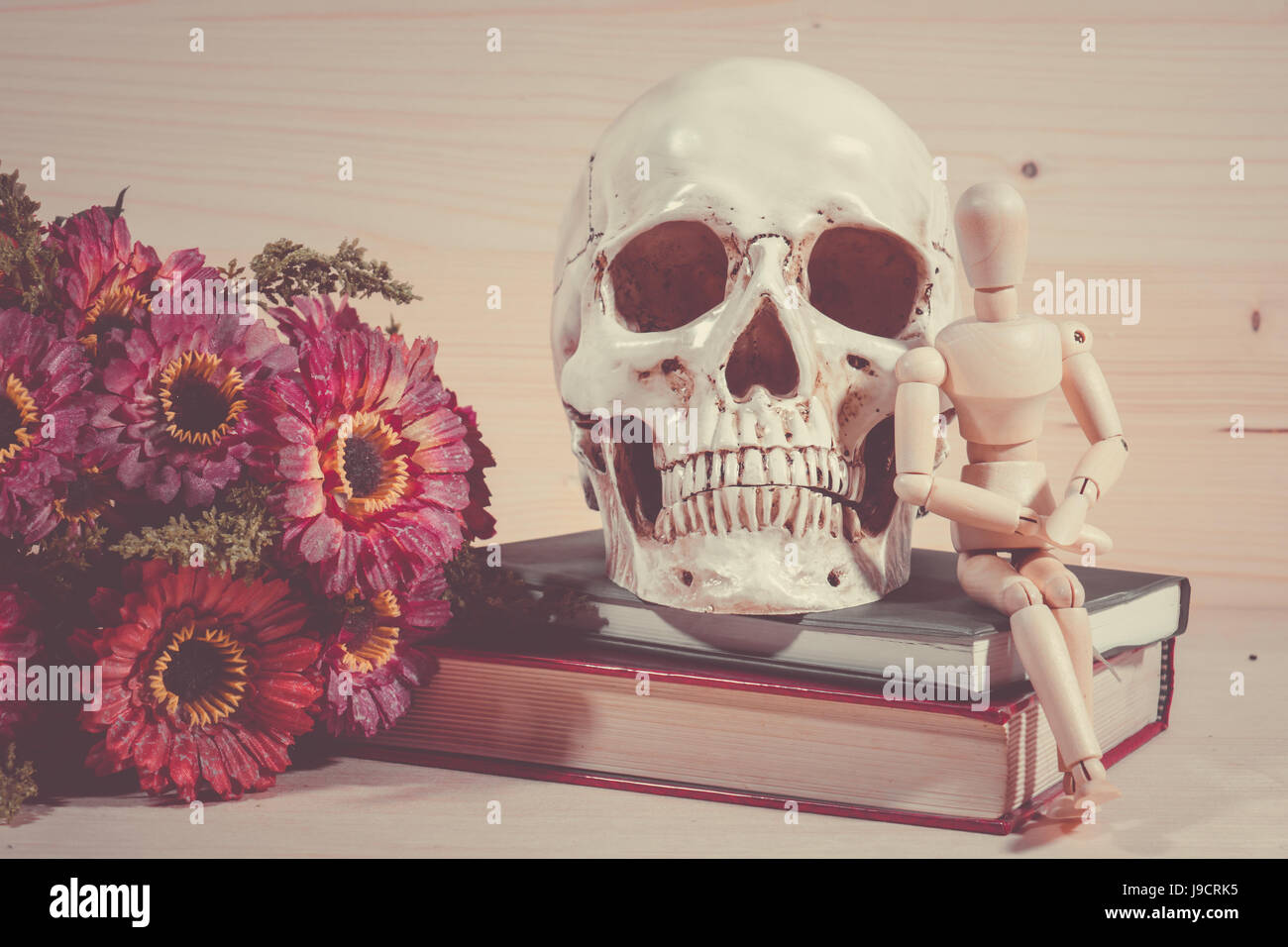 Anatomical book Physician movie  Skull on vintage books Stock Photo