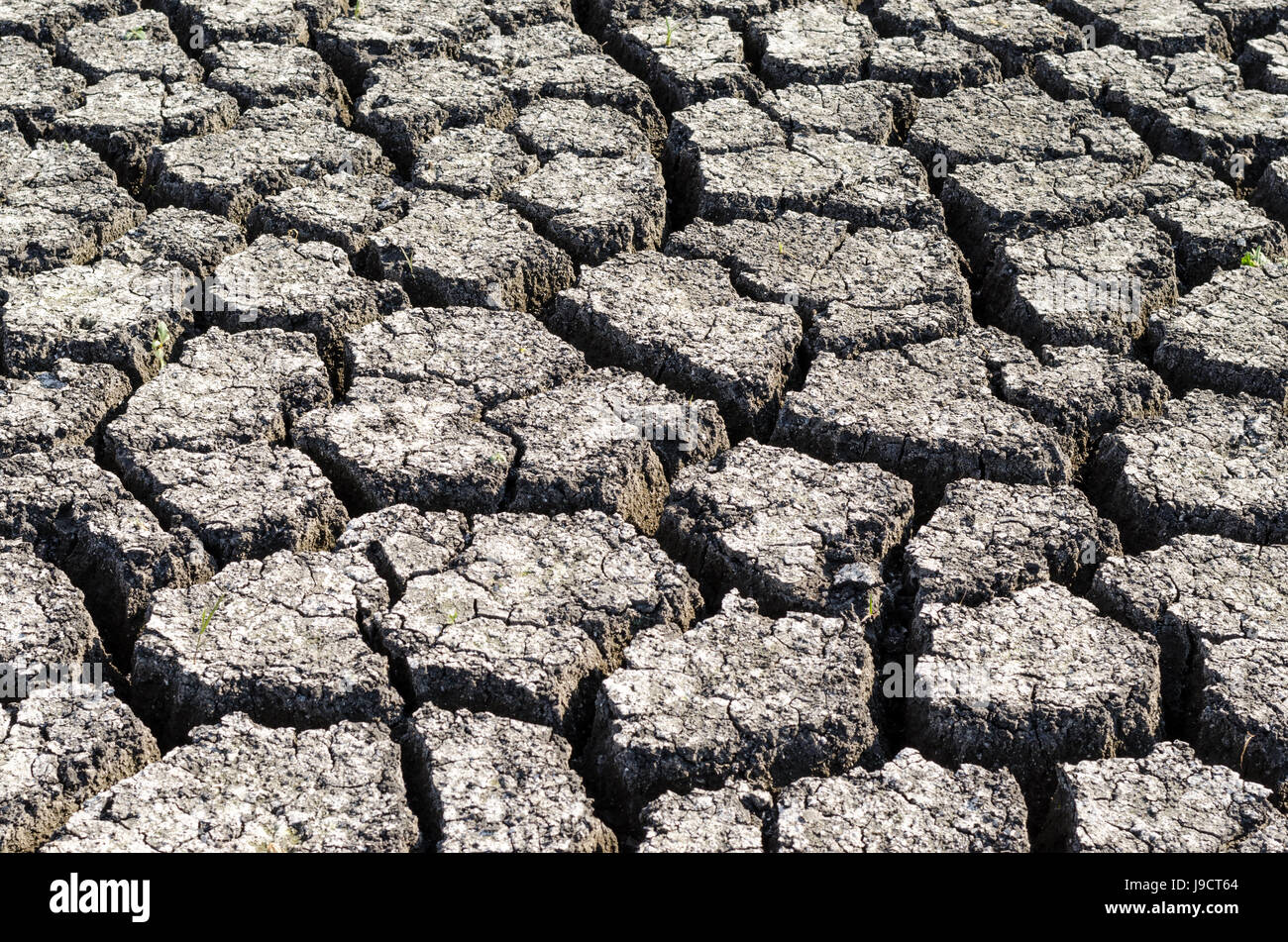 Textured background of dry cracked earth surface Stock Photo