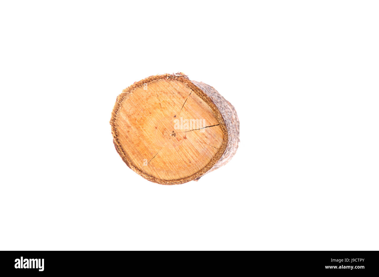 Wooden stump isolated on the white background. Stock Photo