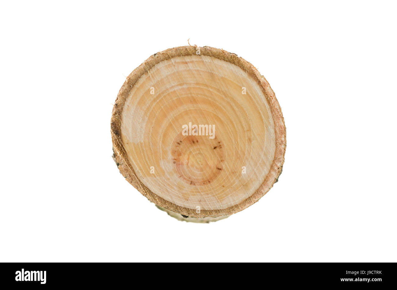Wooden stump isolated on the white background. Stock Photo