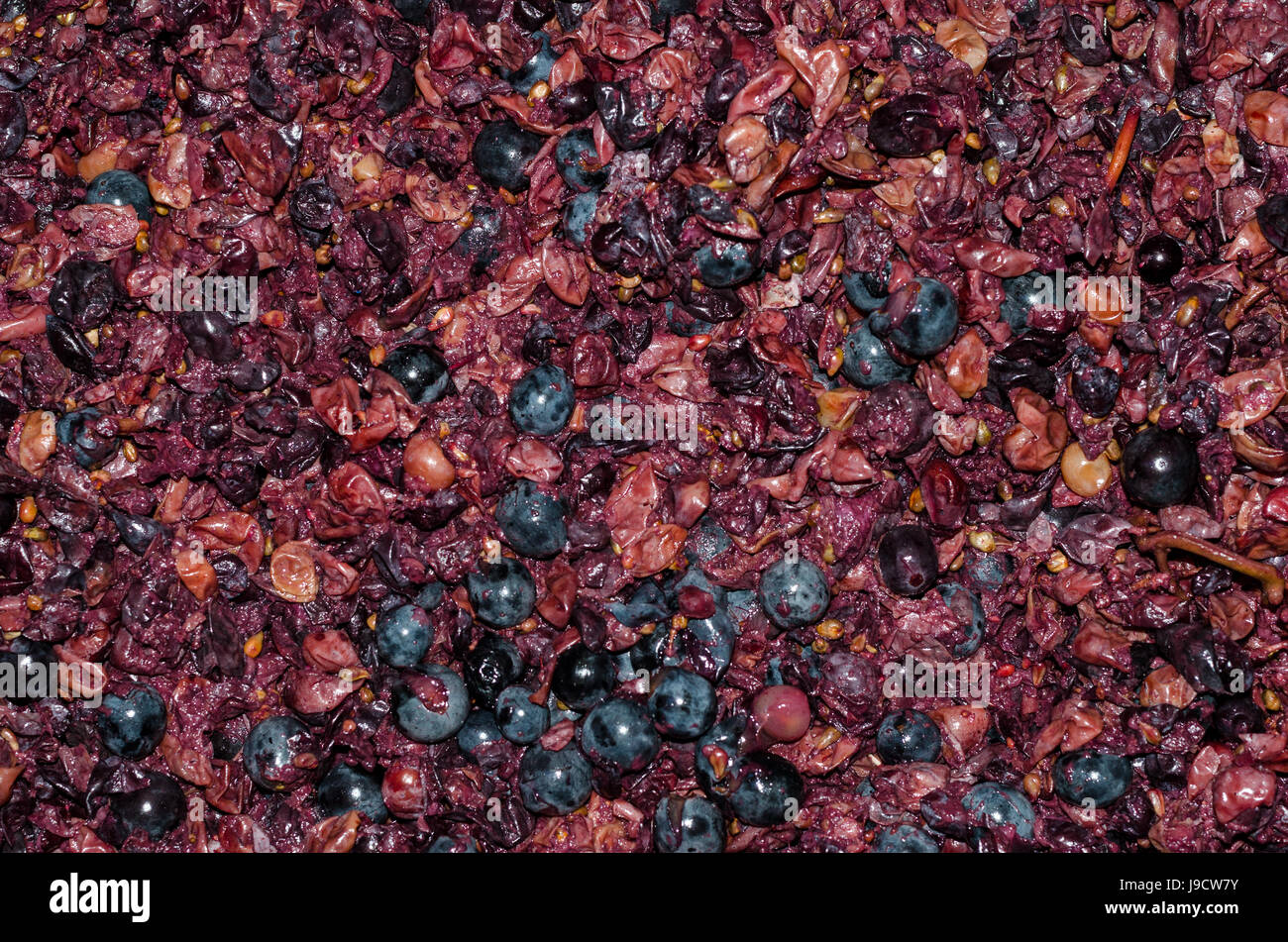 Crushed grapes for wine background Stock Photo Alamy