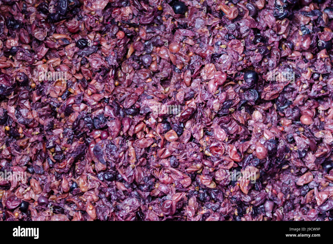 Crushed grapes for wine background Stock Photo Alamy