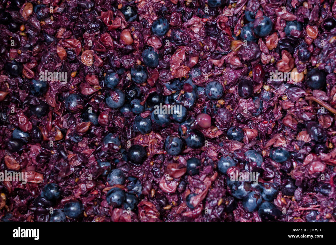 Crushed grapes for wine background Stock Photo